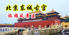 色色色色热中国北京-东城古宫旅游风景区